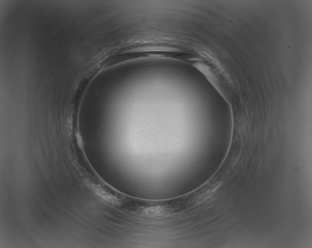 X0000083970309200702232025