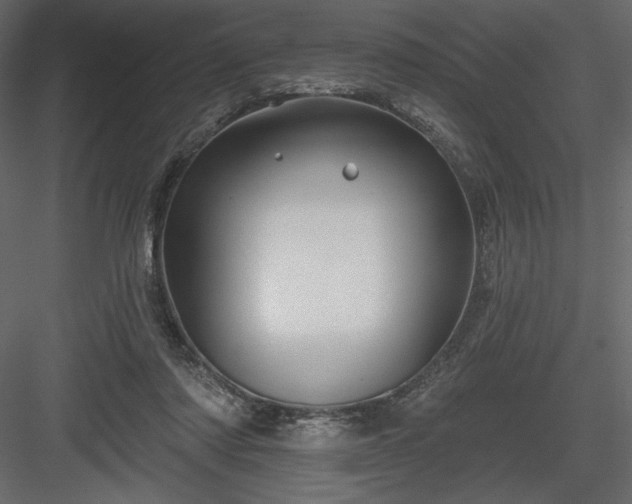 X0000083970310200702232025