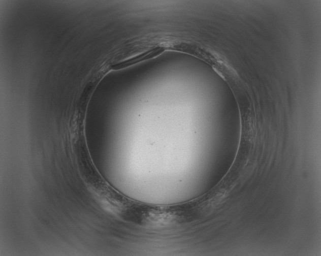 X0000083970311200702232025
