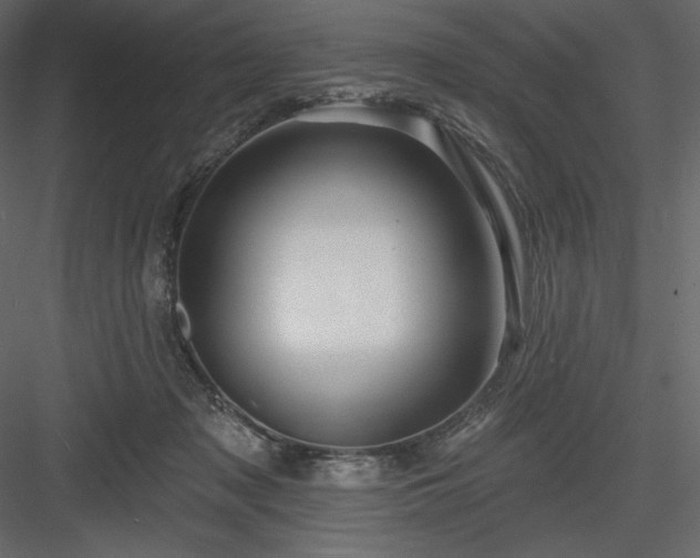 X0000083970317200702232025