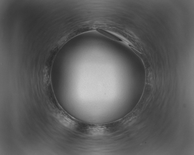 X0000083970318200702232025