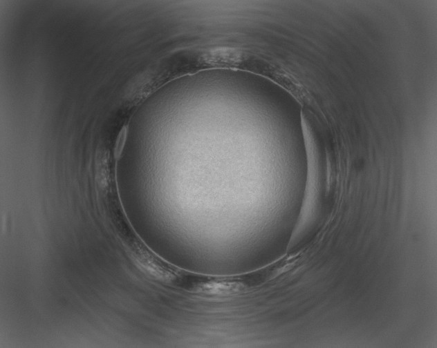 X0000083970323200702232025