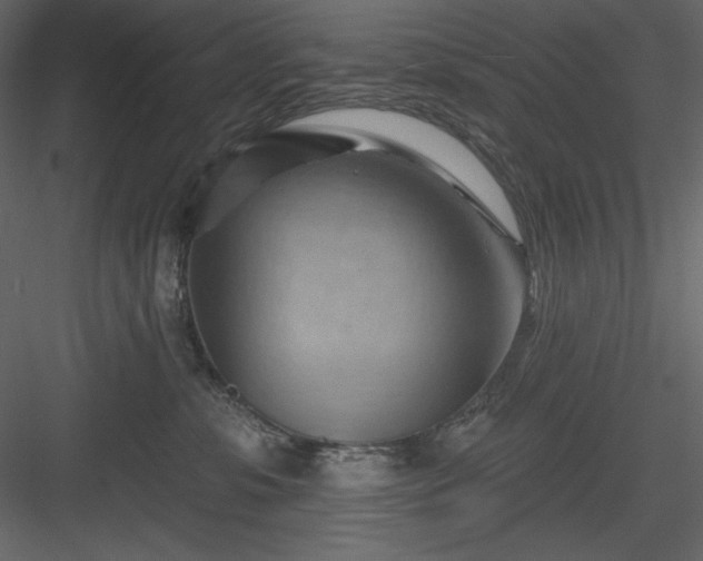 X0000083970331200702232024