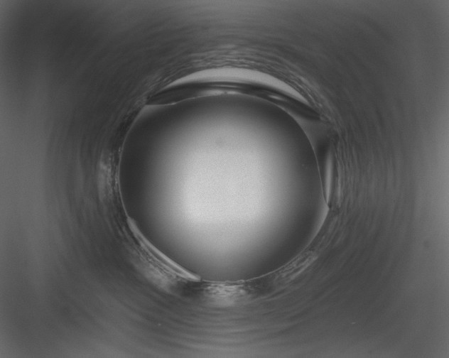 X0000083970333200702232024