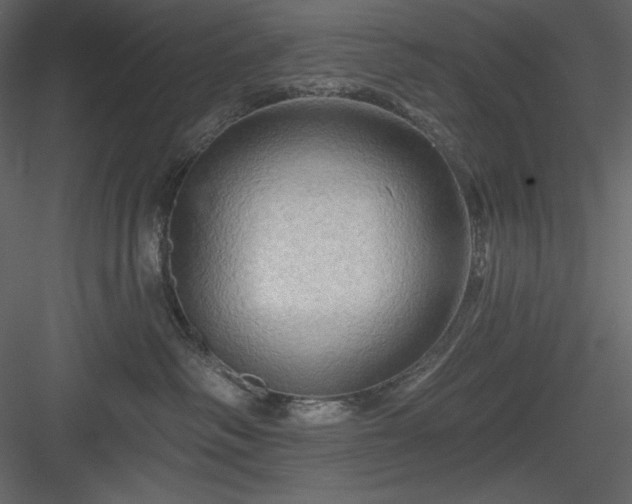 X0000083970334200702232024