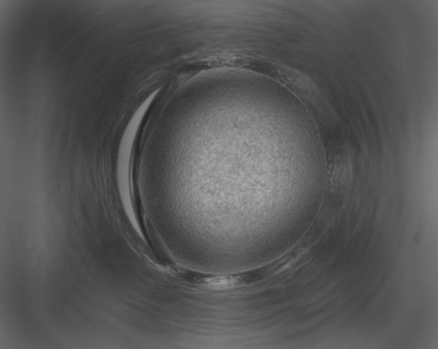 X0000083970335200702232024