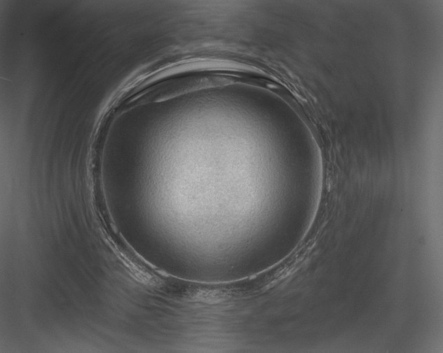X0000083970341200702232024