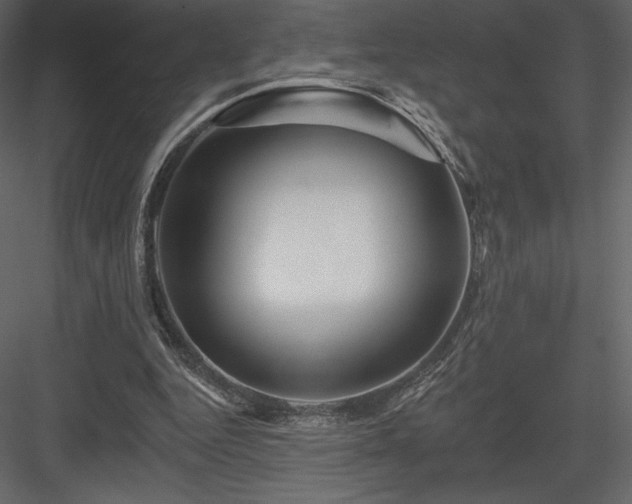 X0000083970344200702232024