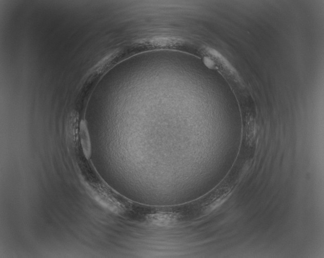 X0000083970356200702232024
