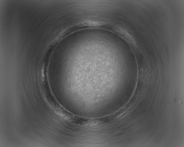 X0000083970358200702232024