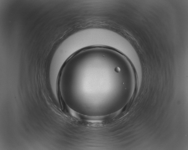 X0000083970362200702232024