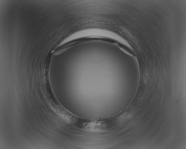 X0000083970366200702232024