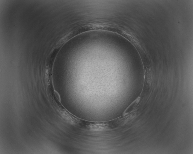 X0000083970378200702232024