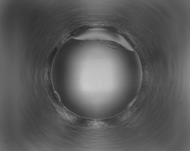 X0000083970379200702232024