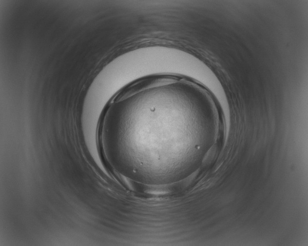 X0000083970382200702232024