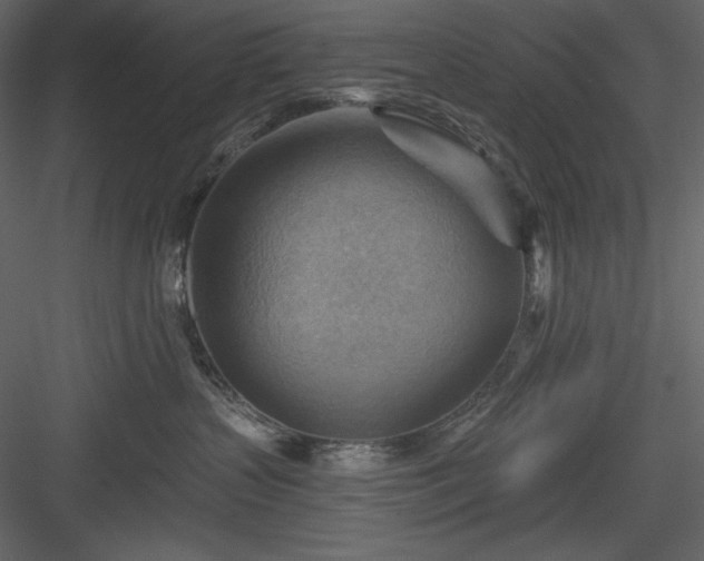X0000083970383200702232024