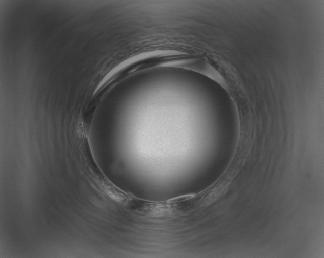 X0000083970384200702232024