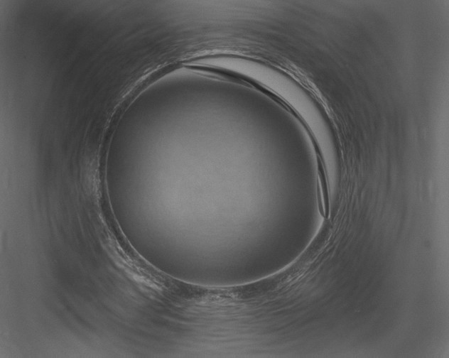 X0000083970386200702232023