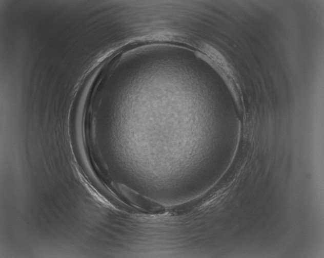 X0000083970389200702232023