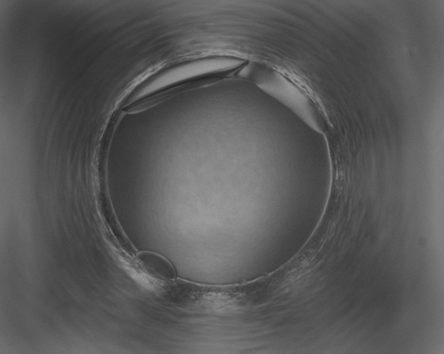 X0000083970390200702232023
