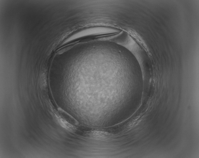 X0000083970393200702232023