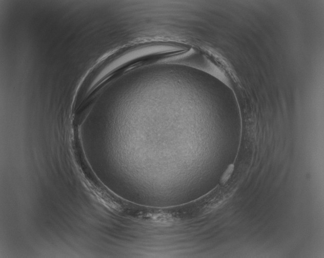 X0000083970395200702232023