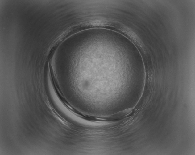 X0000083970397200702232023