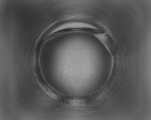 X0000083970400200702232023