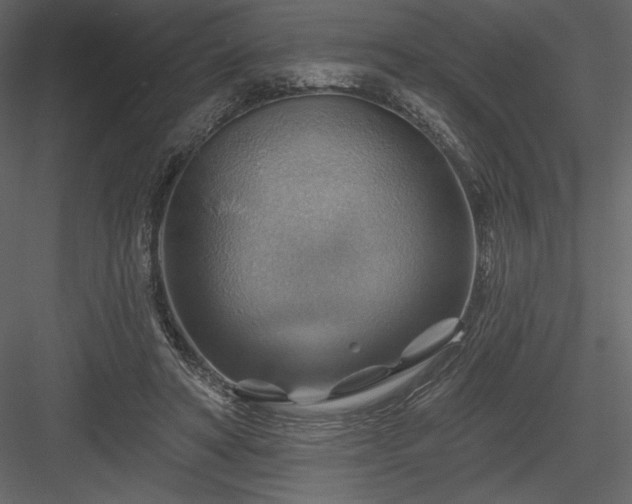 X0000083970402200702232023