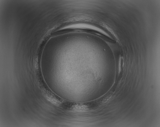 X0000083970403200702232023