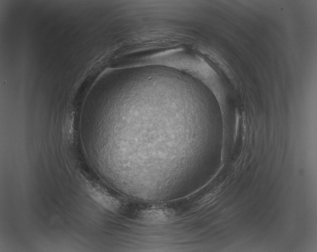 X0000083970404200702232023