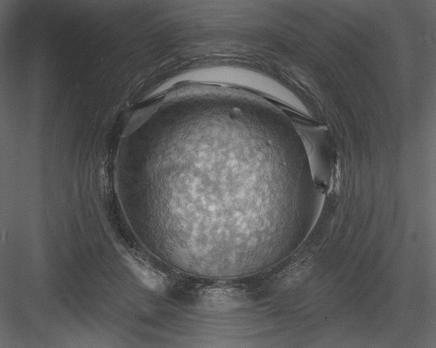 X0000083970408200702232023