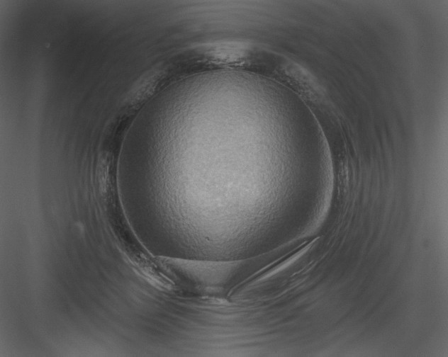 X0000083970412200702232023