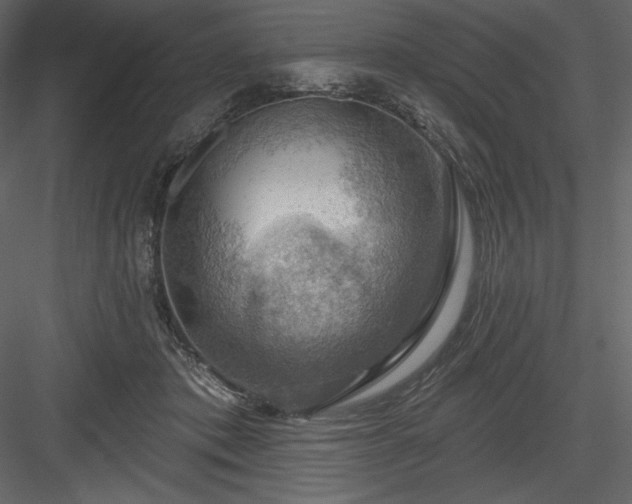 X0000083970413200702232023