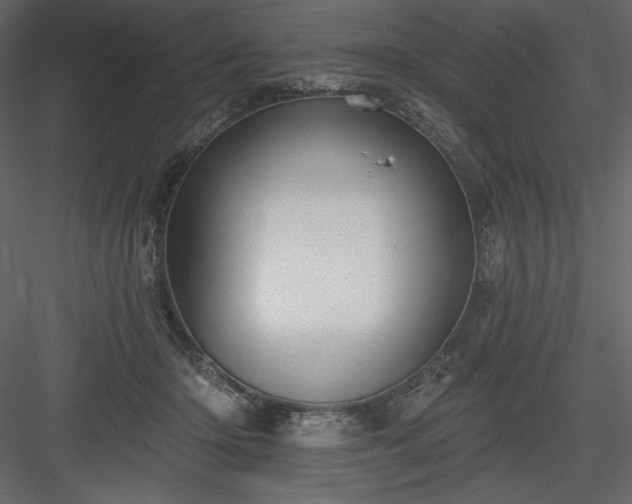 X0000083970414200702232023