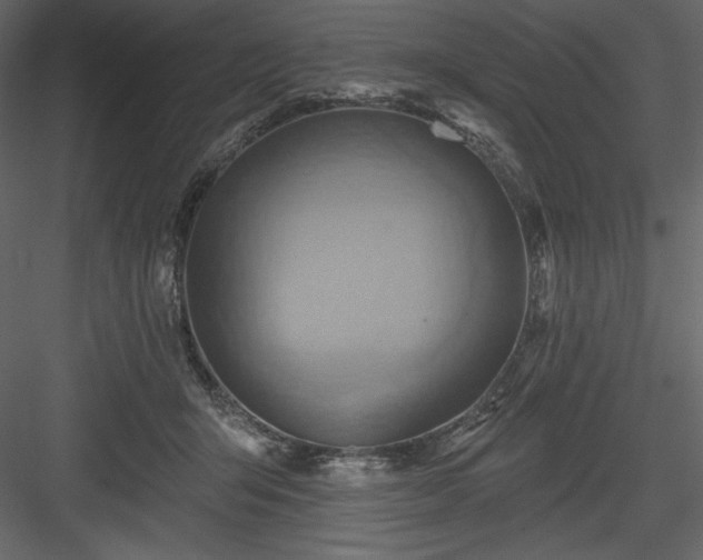 X0000083970415200702232023