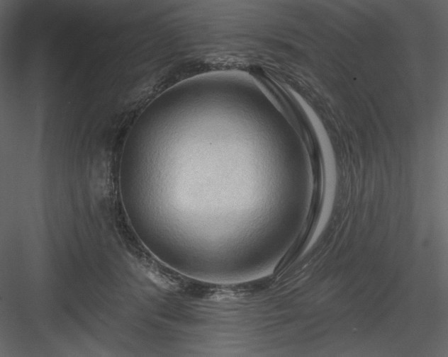 X0000083970416200702232023