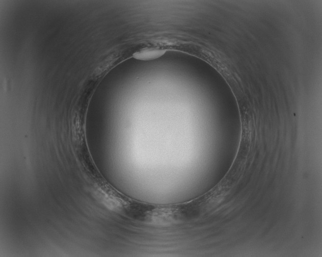 X0000083970418200702232023