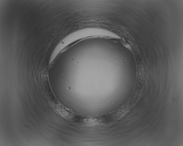 X0000083970419200702232023