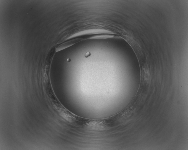 X0000083970422200702232023