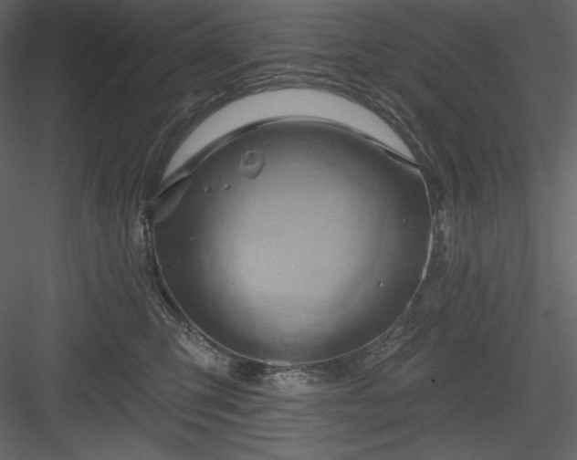 X0000083970423200702232023