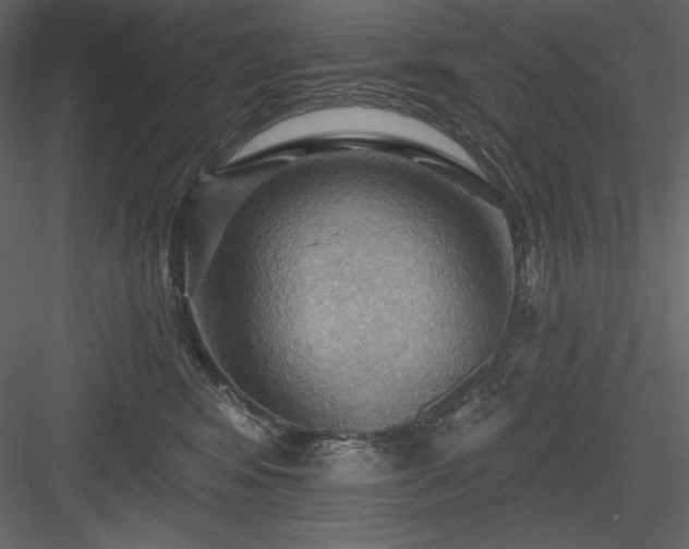 X0000083970424200702232023
