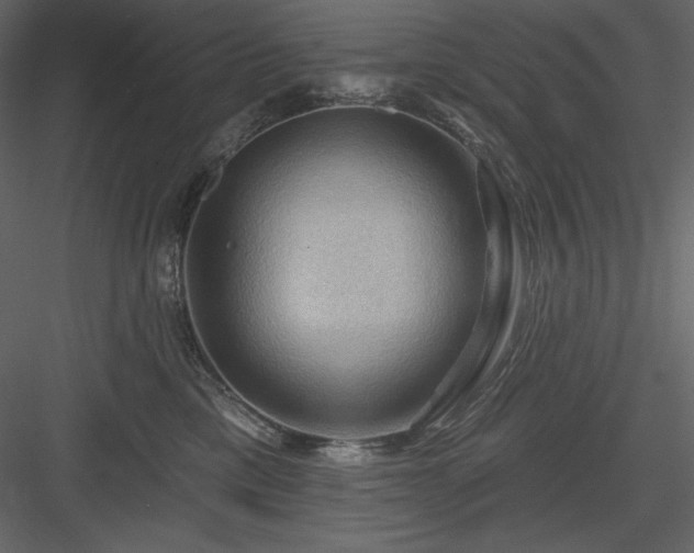 X0000083970425200702232023