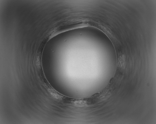 X0000083970426200702232023