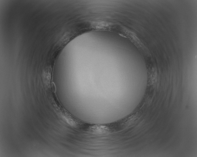 X0000083970427200702232023