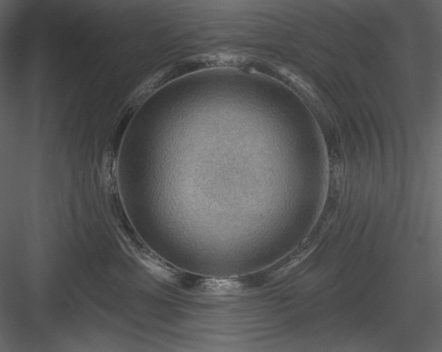 X0000083970429200702232023