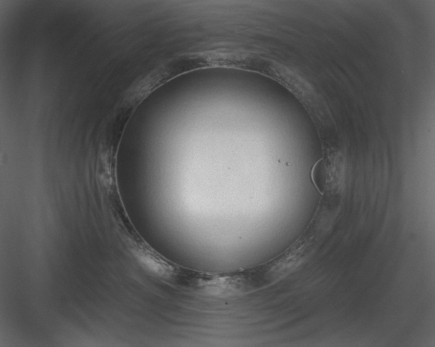 X0000083970430200702232023