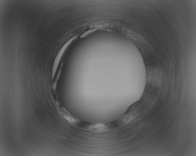 X0000083970431200702232023