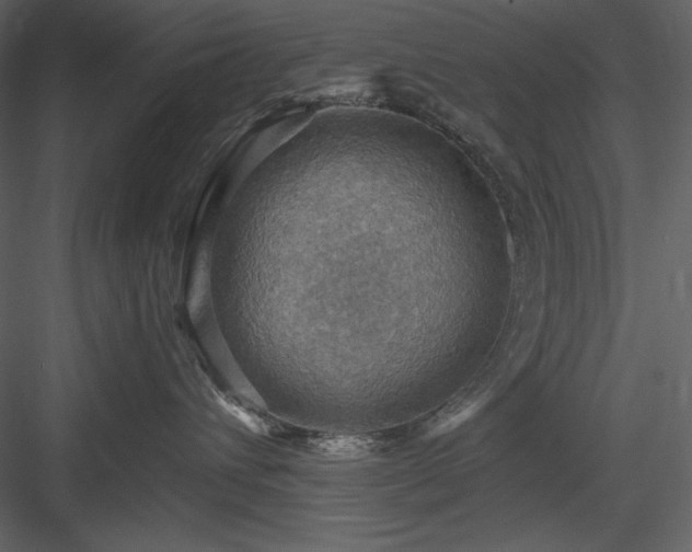 X0000083970432200702232023