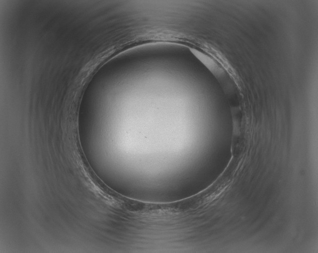 X0000083970433200702232022